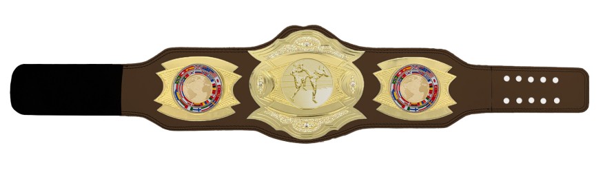 *NEW* PROGEMELITE THAI BOXING CHAMPIONSHIP BELT - PROGEMELITE/G/TBOG *NEW* PROGEMELITE THAI BOXING CHAMPIONSHIP BELT - PROGEMELITE/G/TBOG
